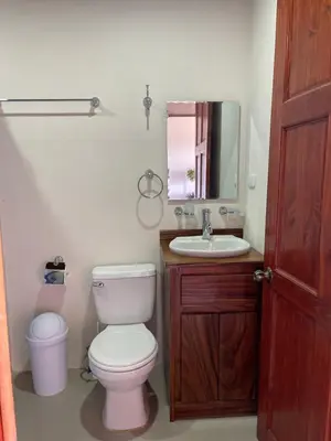 a bathroom with a toilet and a sink and a mirror at Apartamentos Casa Don Luis in Monteverde Costa Rica