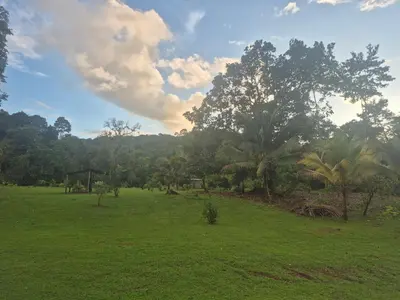 a field with green grass and trees in the background at Cabaña Las Vegas de Acosta in San Ignacio