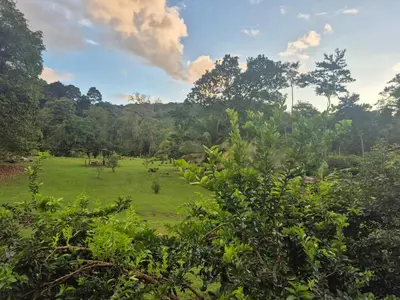 a field of grass with trees in the background at Cabaña Las Vegas de Acosta in San Ignacio