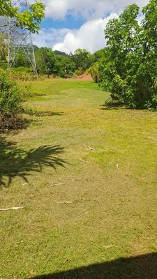 a field of grass with trees in the background at Casa de montaña in Quepos