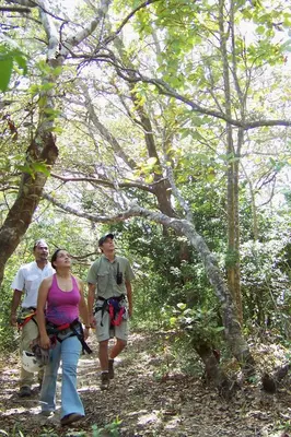 a group of people walking down a trail in the woods at Vida Aventura Ranch in Tanques