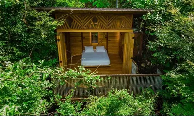 a wooden gazebo with a bed in it at Pura selva tree house in Tamarindo