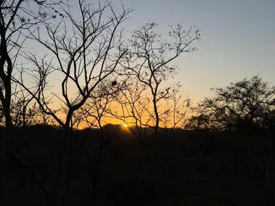 a sunset behind some trees in a field at Villa Sol Kite House in La Cruz