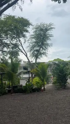 a house with palm trees in front of it at GZ Suites in Coco