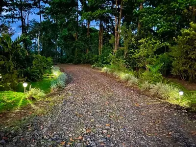 a gravel road in the middle of a forest at night at Casa el Manú Finca Agroecologíca in Marsella