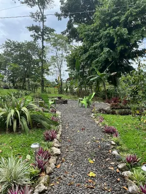 a gravel path in a garden with plants at Casa el Manú Finca Agroecologíca in Marsella