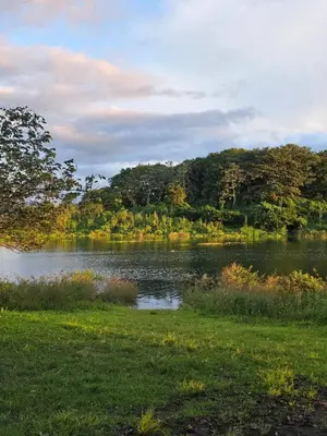 a view of a lake with trees in the background at SeStudio Lodge in Nuevo Arenal with Jungle Views in Nuevo Arenal