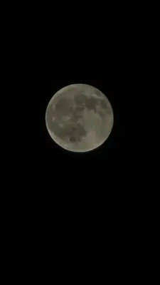 a moon in the sky at night at SeStudio Lodge in Nuevo Arenal with Jungle Views in Nuevo Arenal
