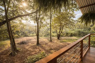 a wooden deck with a view of a forest at Mayra Campground in Savegre