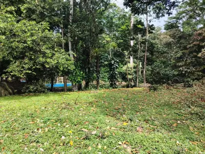 a field of grass with trees in the background at Vértice Blue Mountain Lodge la cueva de la montaña in San Lorenzo