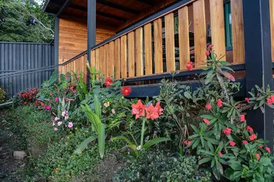 a garden with flowers in front of a house at Cabaña Los Lirios 2 in Monteverde Costa Rica