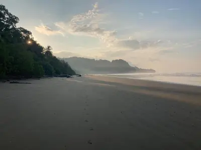 a view of a beach with footprints in the sand at 5 min walk to Uvita beach, pool, 3 bdr, AC! in Uvita