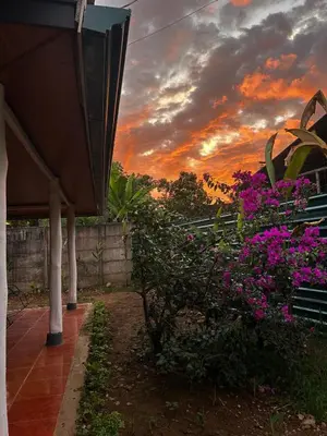a sunset over a garden with flowers and a house at Casa Bahia Heliconia in Uvita