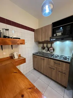 a kitchen with a stove and a microwave at Lotus apartment in San José
