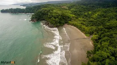 an aerial view of a beach and the ocean at Casa Rio Tortuga - 2 Rooms in Tortugal