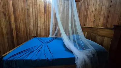 a blue bed with a mosquito net in a room at Green Horizon in Upala