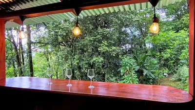 three wine glasses sitting on a wooden bar in front of a forest at Green Horizon in Upala