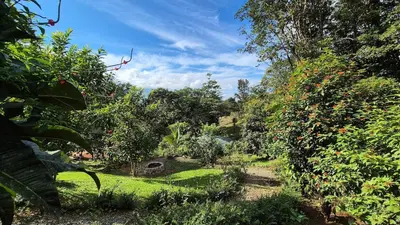 a garden with green grass and trees and bushes at Green Horizon in Upala