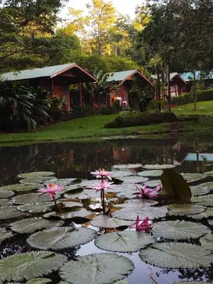 a pond with pink water lilies in front of a house at Rincon Verde in Bijagua