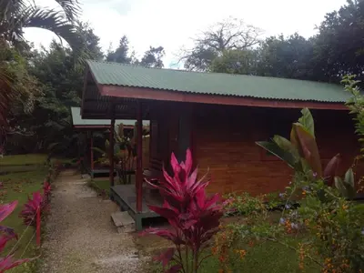 a small building with a green roof in a garden at Rincon Verde in Bijagua
