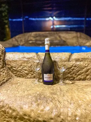 a bottle of wine and two glasses on a table at Refugio Las Cortezas in Fortuna