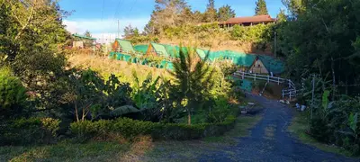 a dirt road leading up a hill with a house at Cabañas La Madriguera