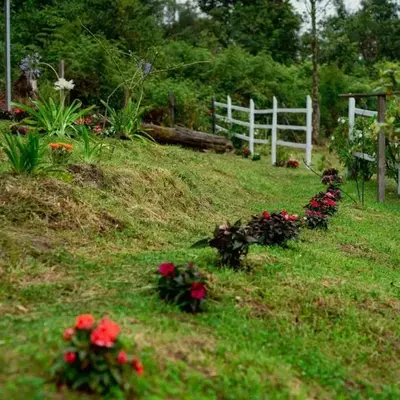 Cerro Lodge & Gardens