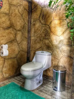 a bathroom with a toilet in a stone wall at Villa Tucan in Agua Azul