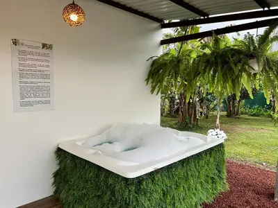 a bath tub sitting on top of a green wall at Sassy Sloth Villa in Fortuna