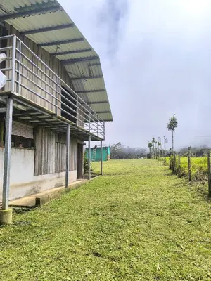 Gallery image of Cabaña Cherenga in Sarchí