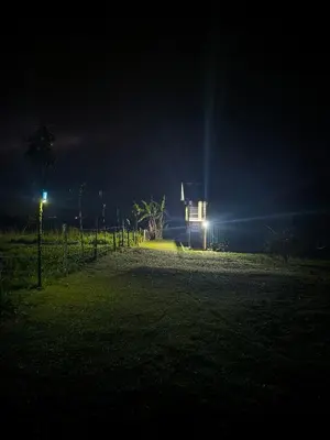Gallery image of Cabaña Cherenga in Sarchí