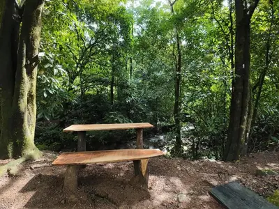 a wooden bench sitting in the middle of a forest at Cabaña Brisas Del Río in Parrita