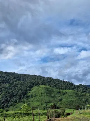 a green hill with trees on it with a cloudy sky at Cabaña Cherenga in Sarchí