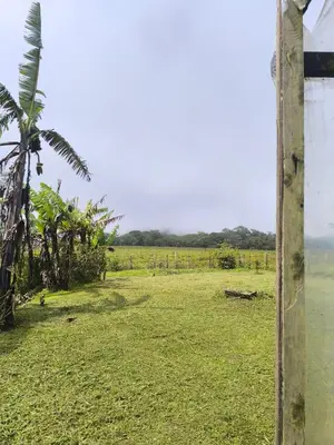 Gallery image of Cabaña Cherenga in Sarchí