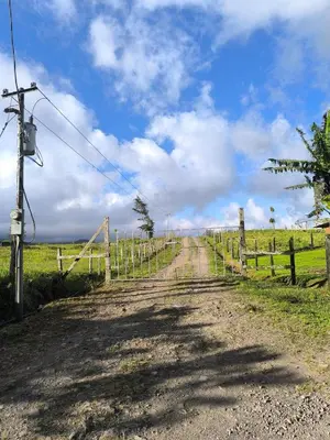 Gallery image of Cabaña Cherenga in Sarchí