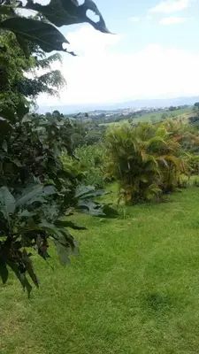 a field with green grass and trees in the background at Hotel casa yayaz Nature Lodge in Grecia