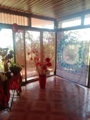 a room with a large window and a vase with flowers at Hotel casa yayaz Nature Lodge in Grecia