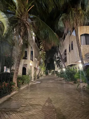 a courtyard with palm trees in front of a building at Tama Magico in Tamarindo