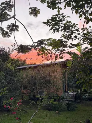 a house with a red roof and some trees at Green Lodge 2 in Toro Amarillo