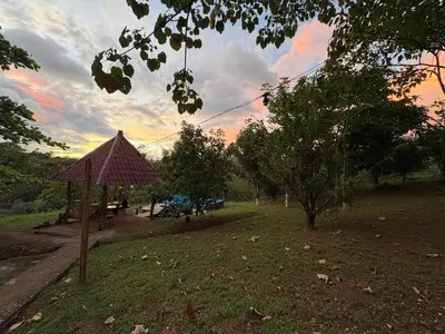 a view of a park with a tent and trees at Pura Noche Guanacaste in Marbella