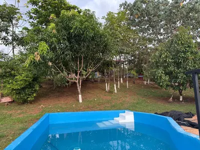 a blue pool with trees in the background at Pura Noche Guanacaste in Marbella