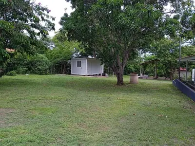 a yard with a tree and a white house at Beach house Punta Morales in Morales