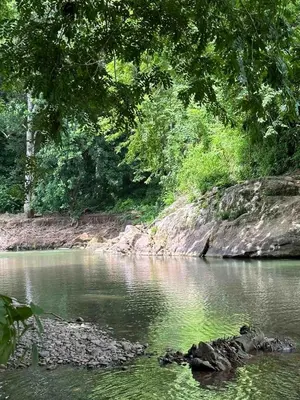 a body of water with trees and rocks at Beach house Punta Morales in Morales