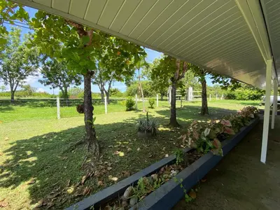 a row of trees in a garden under a tent at Beach house Punta Morales in Morales