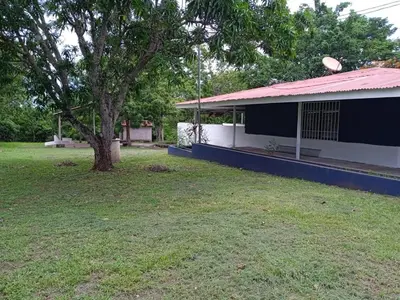 a house with a tree next to a yard at Beach house Punta Morales in Morales