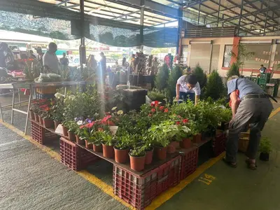 a group of people working in a market with plants at Vistas del Sol-Apartamento Entero in Pedregoso