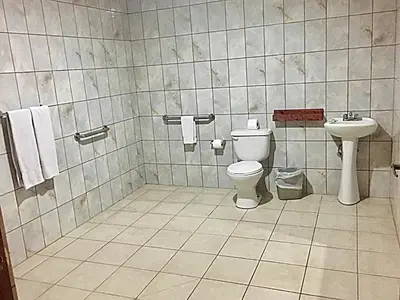 a bathroom with a toilet and a sink at Hotel Ambassador in San José