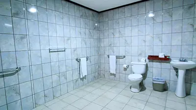 a bathroom with a toilet and a sink at Hotel Ambassador in San José