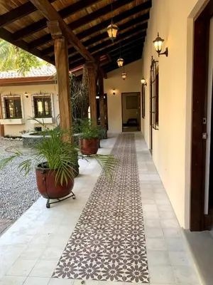 a hallway of a house with potted plants at PuraVida lifestyle at Casa Caoba in Playa Flamingo