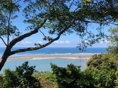 a view of a beach from a tree at Club Fred Aparthotel in Punta Mala